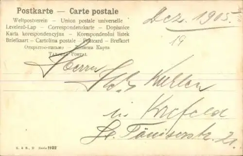 Ak Glückwunsch Weihnachten, Früchte, Apfel, Weintrauben, Tannenzweige