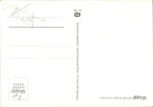 Ak Stofftier Waggi, Hund mit Blume