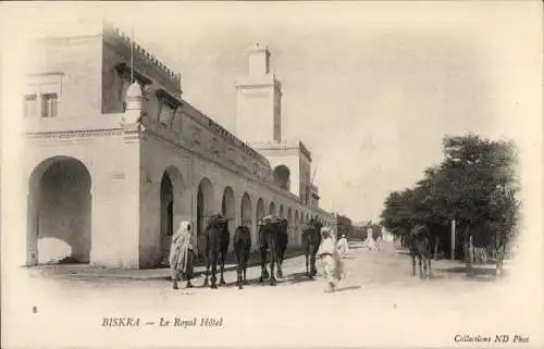 Ak Biskra Algerien, Royal Hotel