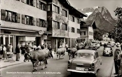 Ak Garmisch Partenkirchen in Oberbayern, Bahnhofstraße, Kuhherde, Autos