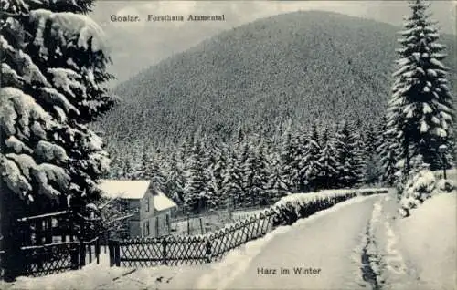 Ak Goslar am Harz, Forsthaus Ammental im Winter