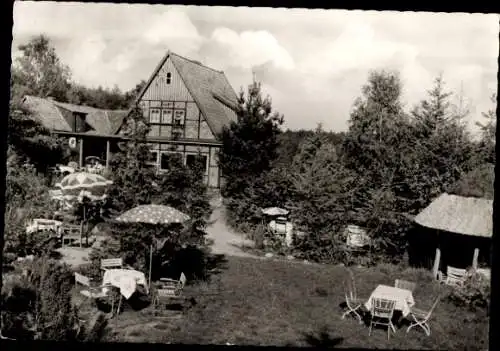 Ak Göhrde in Niedersachsen, Waldpension Schönblick, Garten, Fachwerkhaus