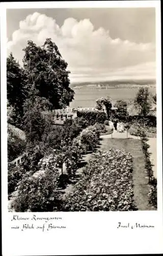 Ak Insel Mainau im Bodensee, kleiner Rosengarten, Birnau