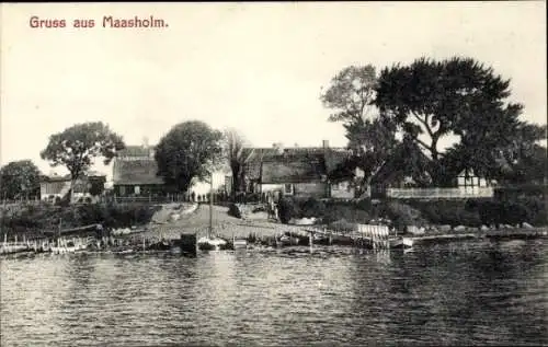 Ak Maasholm an der Schlei, Uferpartie