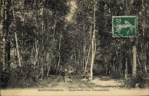 Ak Montfermeil Seine Saint Denis, Sous bois aux Coudreaux