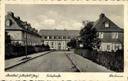 Ak Clausthal Zellerfeld im Oberharz, Aulastraße, Wohnhäuser