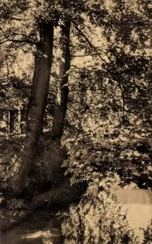 Ak Eecloo Eeklo Ostflandern, Parkparty