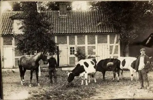 Foto Ak Bauernhof, Bauern, Rinder, Kühe