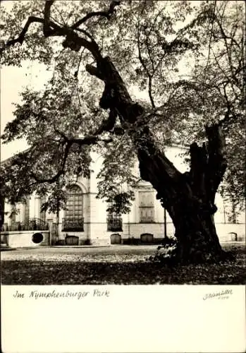 Ak Nymphenburg München Bayern, Königliches Schloss Nymphenburg, Park