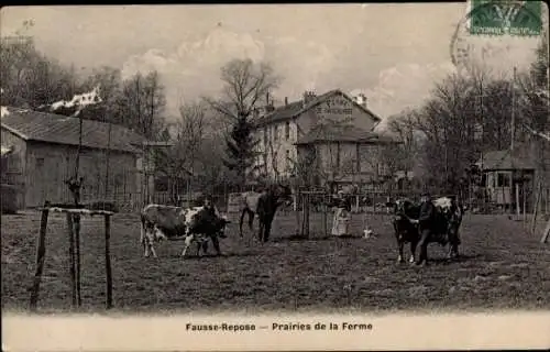 Ak Seine Saint Denis, Fausses Repose, Prairies de la Ferme