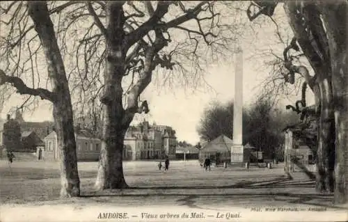 Ak Amboise Indre et Loire, Vieux arbres du Mail, Quai