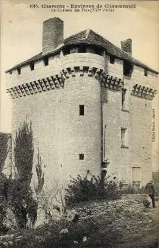 Ak Chasseneuil sur Bonnieure Charente, Chateau des Pins