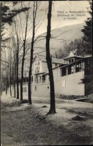 Ak Oker Goslar am Harz, Hotel Waldhaus im Okertal