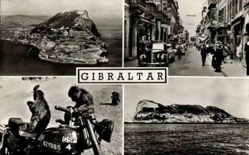 Ak Gibraltar, Panorama, Fels, Straßenpartie mit Passanten und Autos, Affen auf einem Zweirad