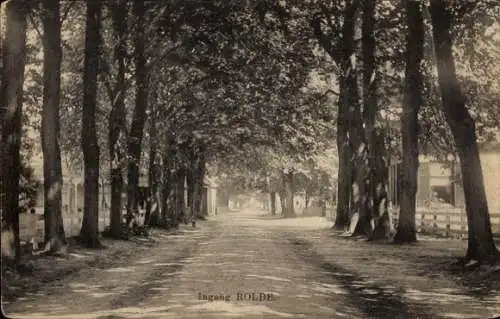 Ak Rolde Drenthe Niederlande, Eingang, Allee