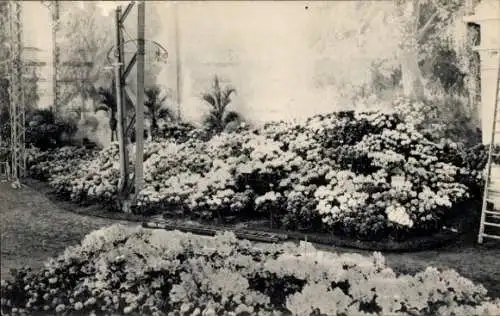 Ak Gand Gent Ostflandern, Weltausstellung 1913, Blumen, Floralies Gantoises