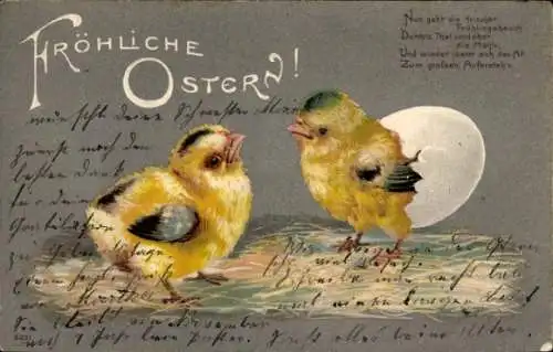 Präge Litho Glückwunsch Ostern, Küken, Eierschale