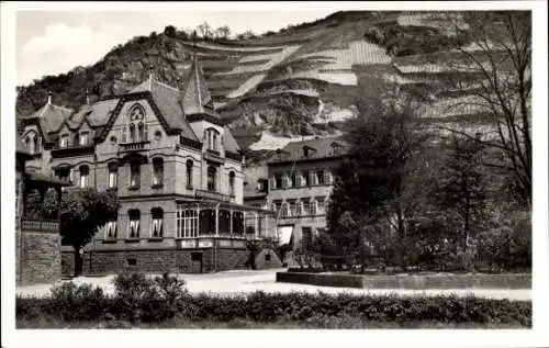 Ak St. Goarshausen am Rhein, Weinstube Rheinischer Hof, Weinberg