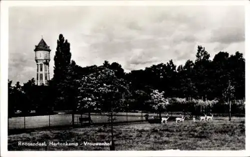 Ak Roosendaal Nordbrabant Niederlande, Hertenkamp, Vrouwenhof