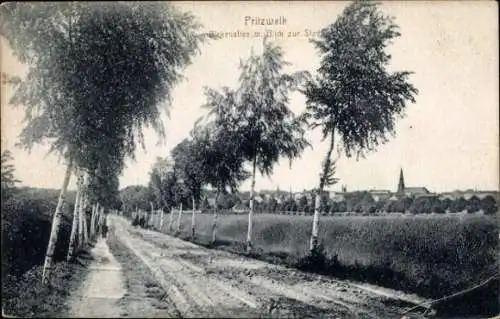 Ak Pritzwalk in der Prignitz, Birkenallee