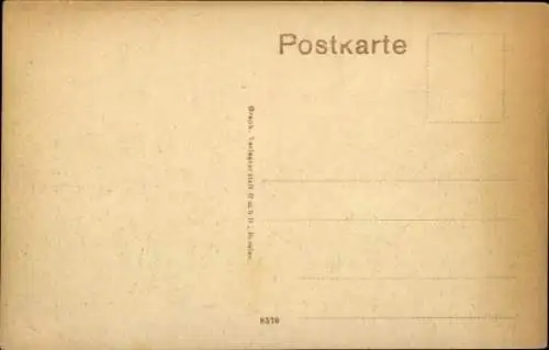 Ak Pritzwalk in der Prignitz, Birkenallee