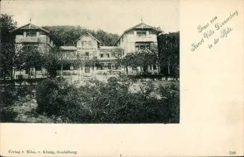 Ak Dannenfels am Donnersberg Pfalz, Kurort Villa Donnersberg