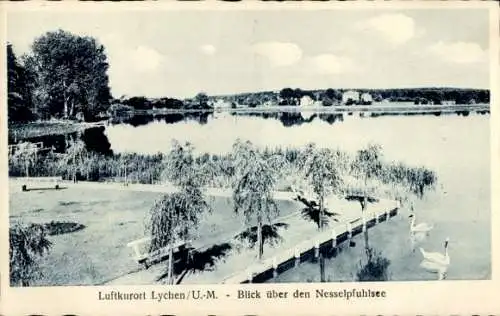 Ak Lychen in der Uckermark, Nesselpfuhlsee