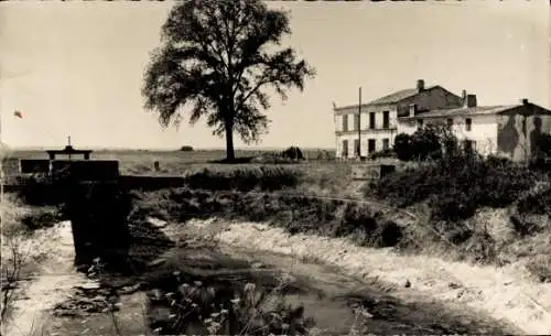 Ak Le Gua Charente Maritime, Châlons-Becken