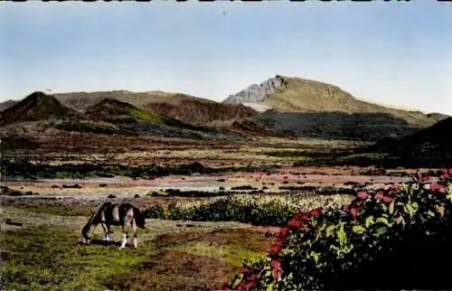 Ak Réunion, Plaine des Cafres, La Plateau des Sources