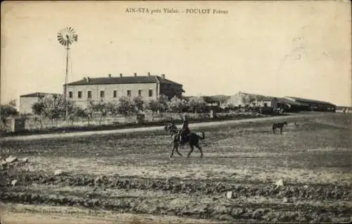 Ak Aint Sta Vialar Algerien, Poulot Frères