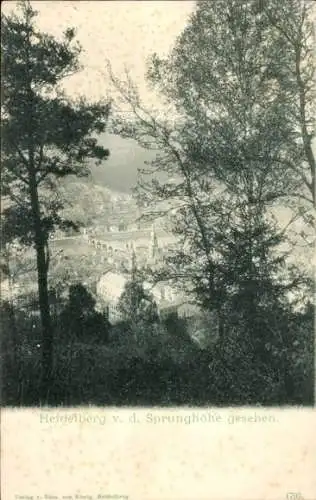 Ak Heidelberg am Neckar, Blick von der Sprunghöhe