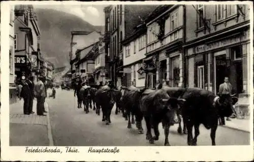 Ak Friedrichroda im Thüringer Wald, Hauptstraße, Kuhherde