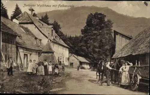 Ak Zwieslerwaldhaus Zwieseler Waldhaus Lindberg im Bayerischen Wald, Dorfmotiv, Falkenstein