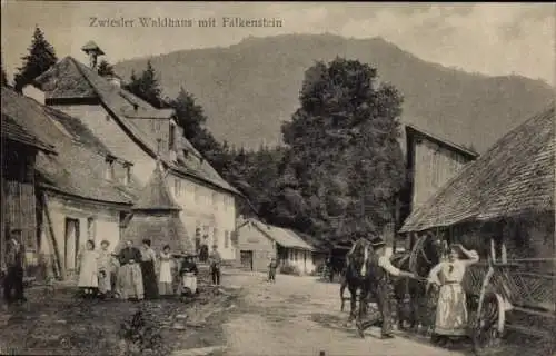 Ak Zwieslerwaldhaus Zwieseler Waldhaus Lindberg im Bayerischen Wald, Dorfmotiv, Falkenstein