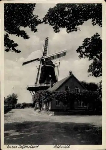 Ak Esens in Ostfriesland, Peldemühle