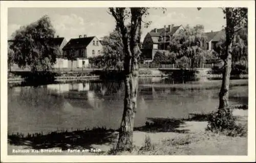 Ak Roitzsch Sandersdorf Brehna Sachsen Anhalt, Partie am Teich