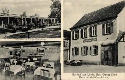 Ak Herschdorf Leutenberg in Thüringen, Gasthof zur Linde, Ziergeflügelanlage