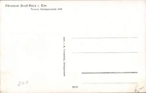 Ak Groß Rode Königslutter am Elm, Försterei