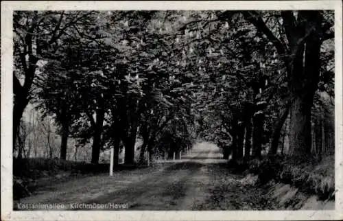 Ak Kirchmöser Brandenburg an der Havel, Kastanienallee