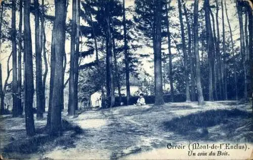 Ak Orroir Hennegau Wallonien, Eine Ecke des Waldes