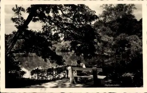 Ak Holzminden an der Weser, Park, Teich, Bank