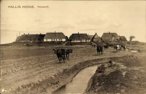 Ak Hallig Hooge in Nordfriesland, Hanswerft