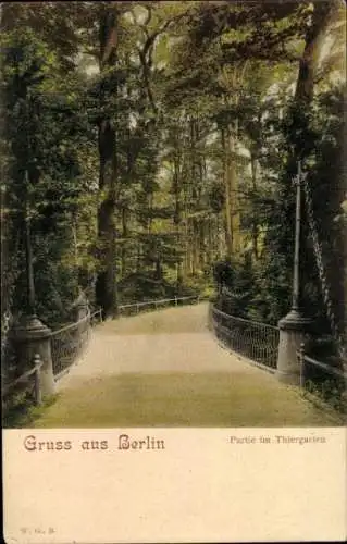 Ak Berlin Tiergarten, Weg im Tiergarten