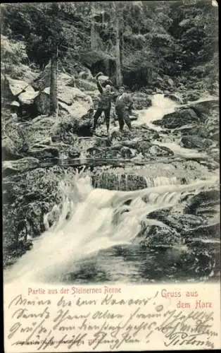 Ak Hasserode Wernigerode am Harz, Steinerne Renne