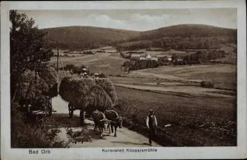 Ak Bad Orb im Spessart Hessen, Kuranstalt Küppelsmühle, Panorama