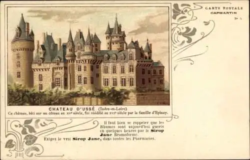 Litho Rigny Usse Indre et Loire, Schloss