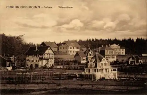 Ak Friedrichsbrunn Thale im Harz, Villenkolonie