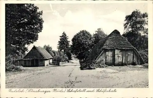 Ak Undeloh in der Lüneburger Heide, Schafstall und Schäferkate