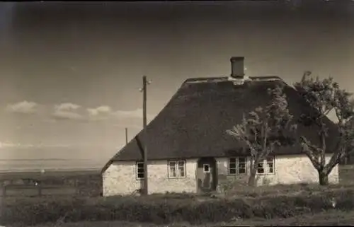 Foto Ak Norddorf auf Amrum Nordfriesland, Haus mit Reetdach