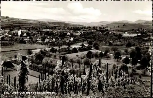 Ak Bischoffingen Vogtsburg im Kaiserstuhl, Panorama